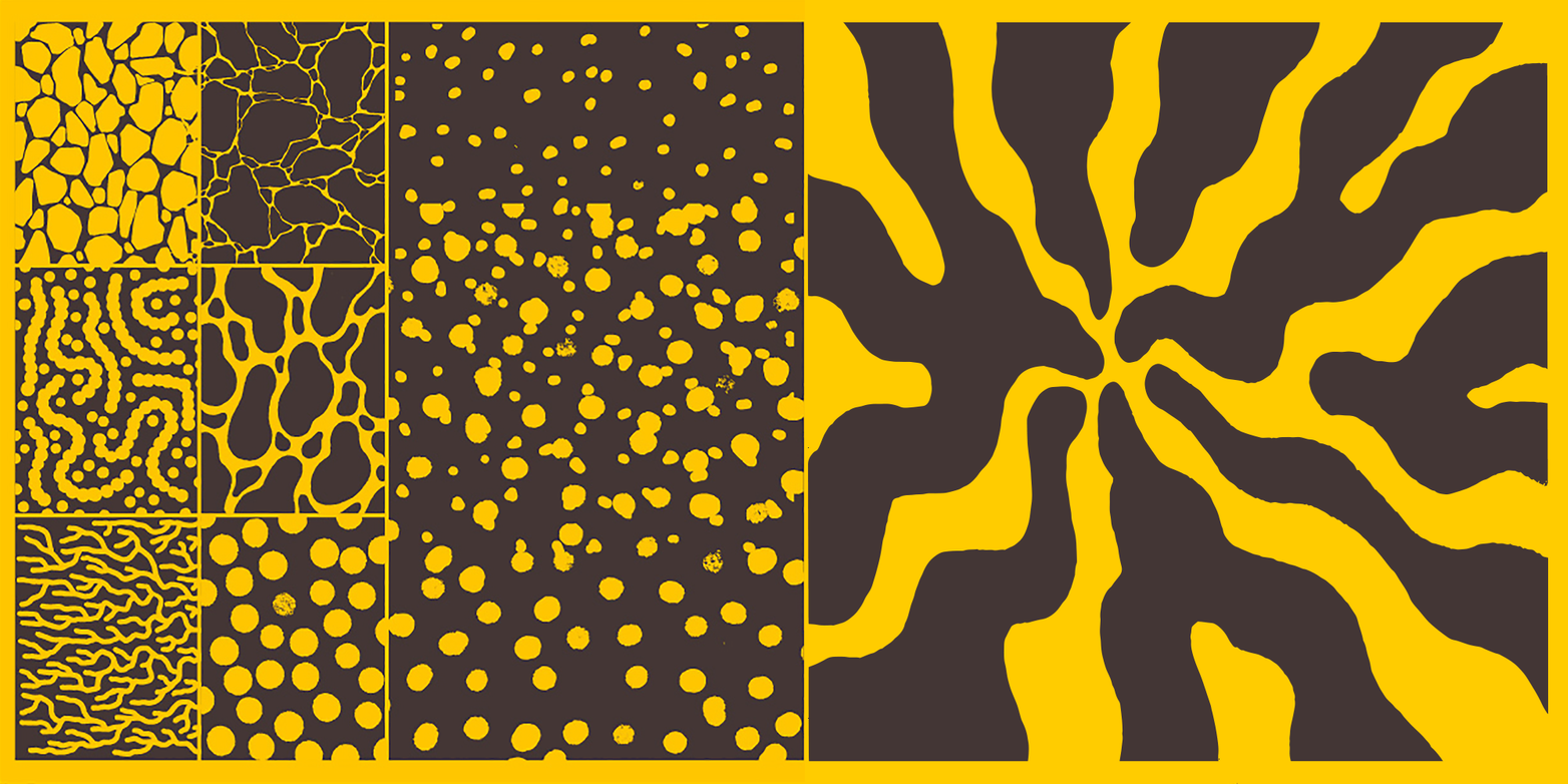 Robin Snasen Rengård